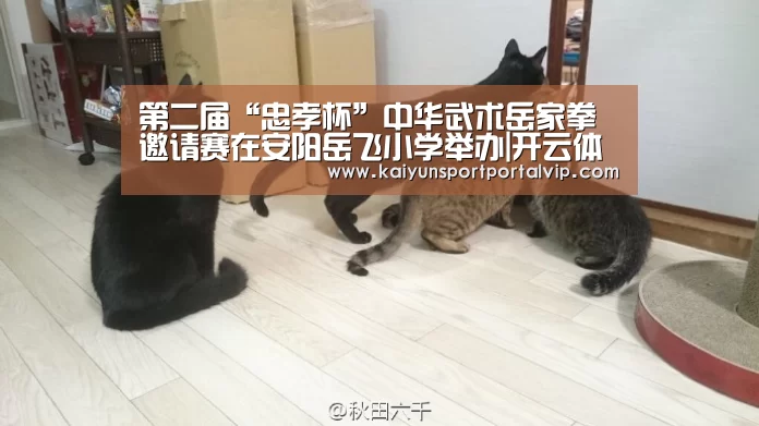 第二届“忠孝杯”中华武术岳家拳邀请赛在安阳岳飞小学举办|开云体育官方入口(图2) 开云官方网站