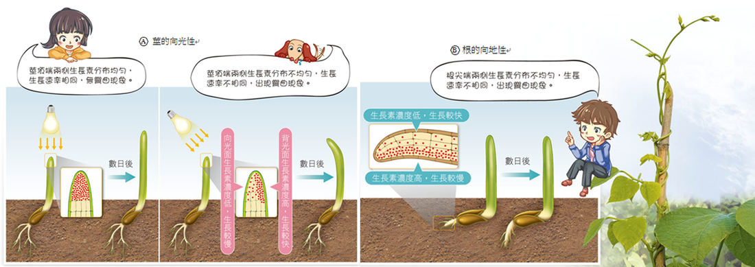 KAIYUN体育