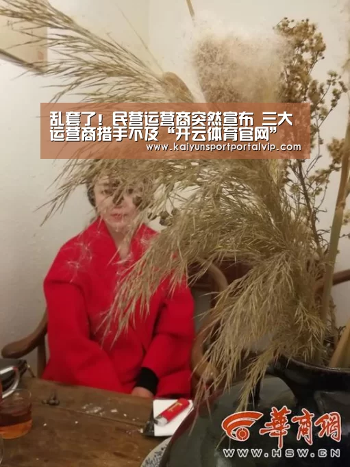 乱套了!民营运营商突然宣布 三大运营商措手不及“开云体育官网”(图3) KAIYUN体育