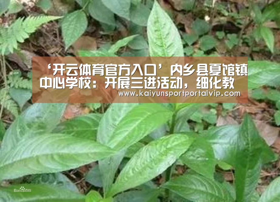 开云官方网站